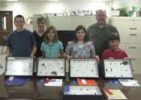 Insect Collections